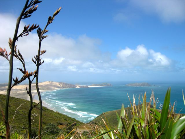 Cape Maria van Diemen Cape Maria van Diemen