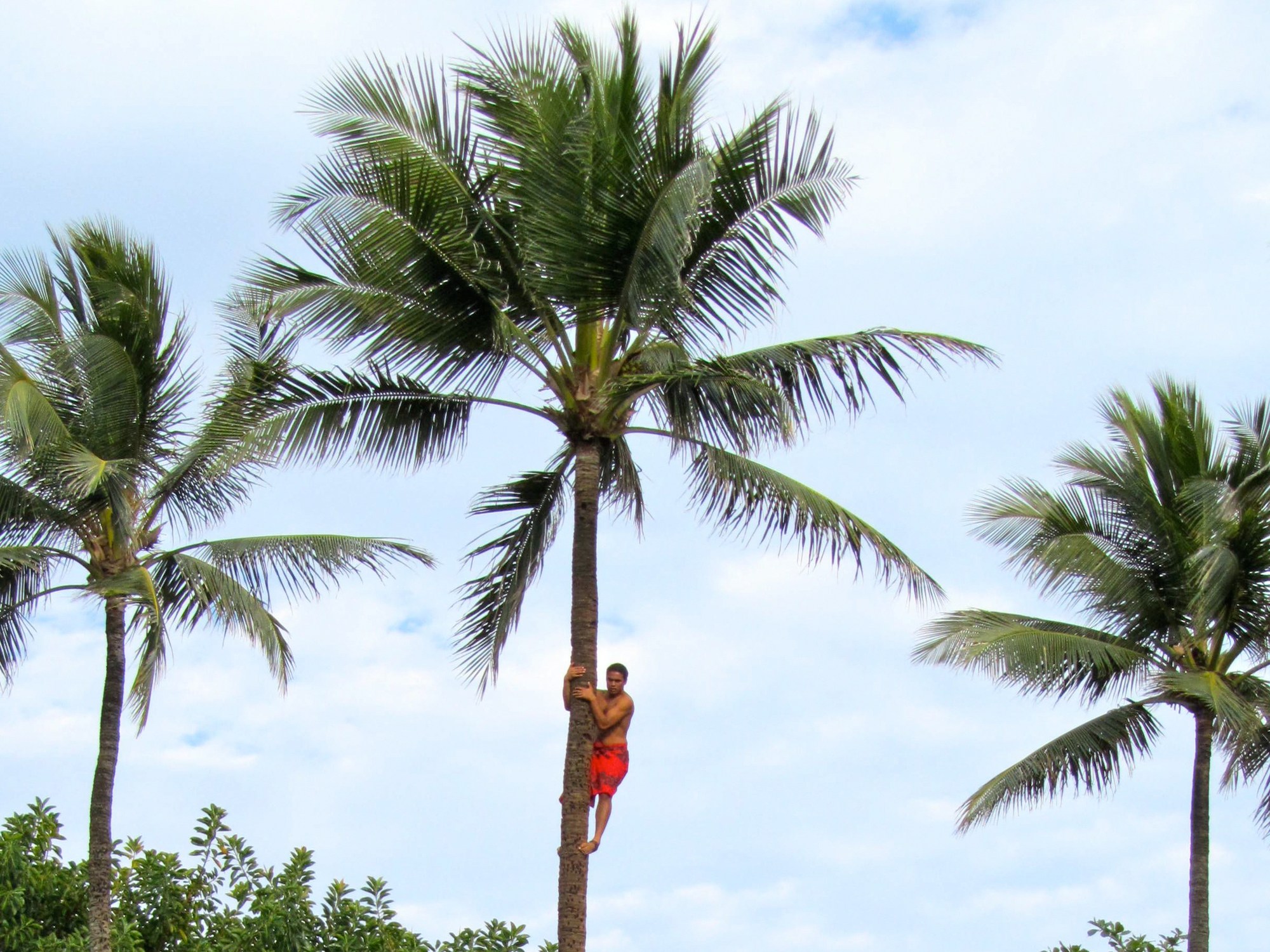 Feature image Polynesian Cultural Center
