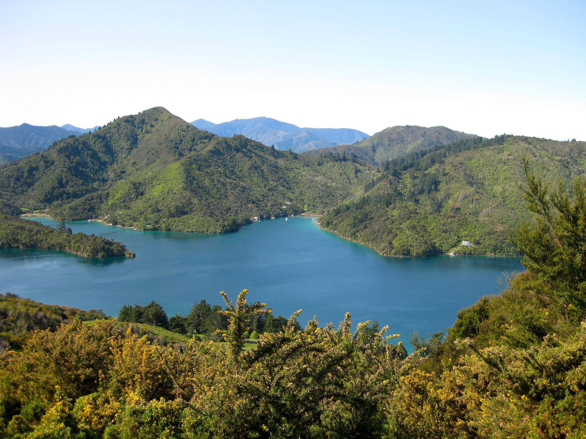 Hiking the Queen Charlotte Track in New Zealand