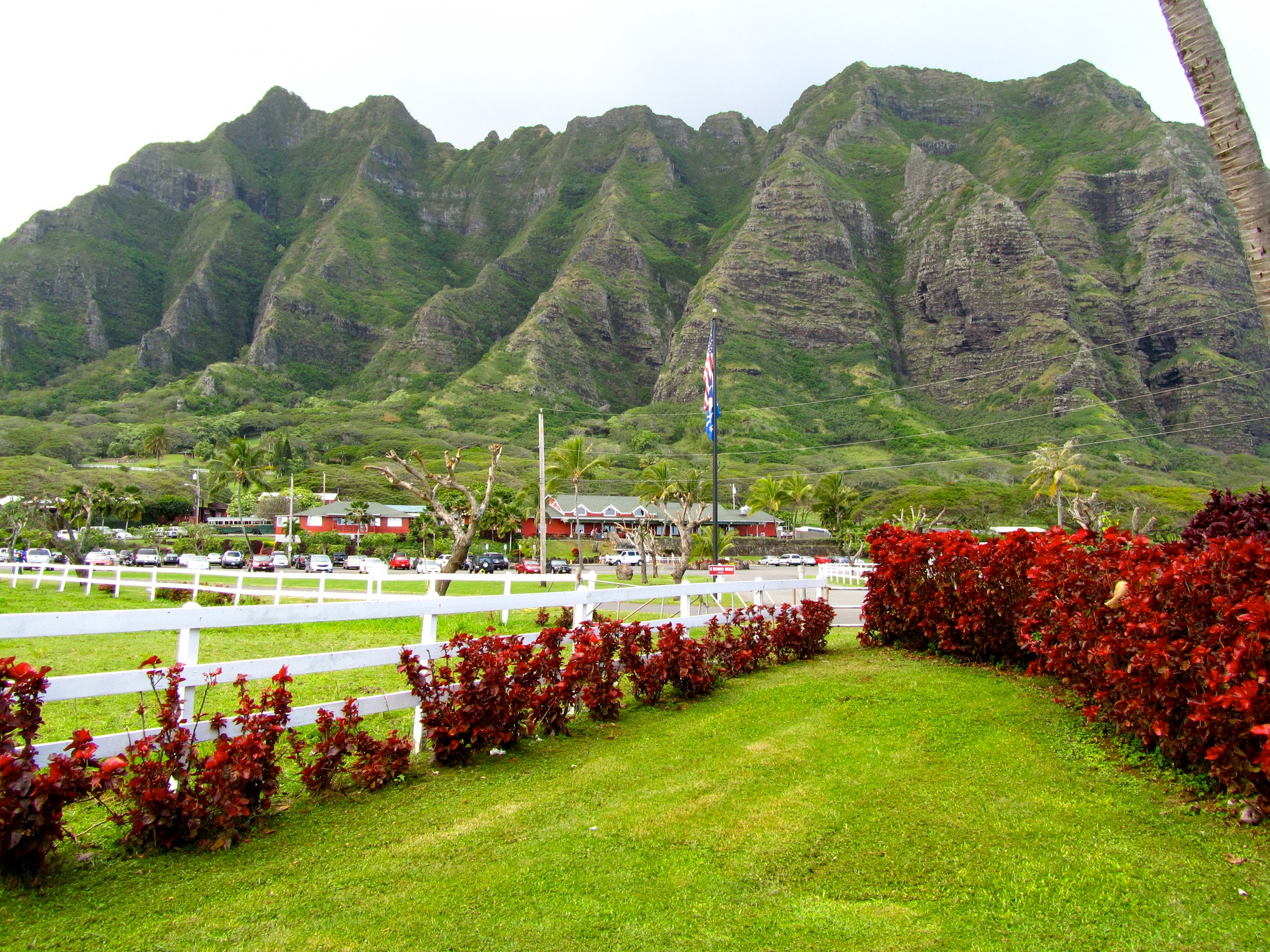Feature image Guided tour of Oahu, Hawaii