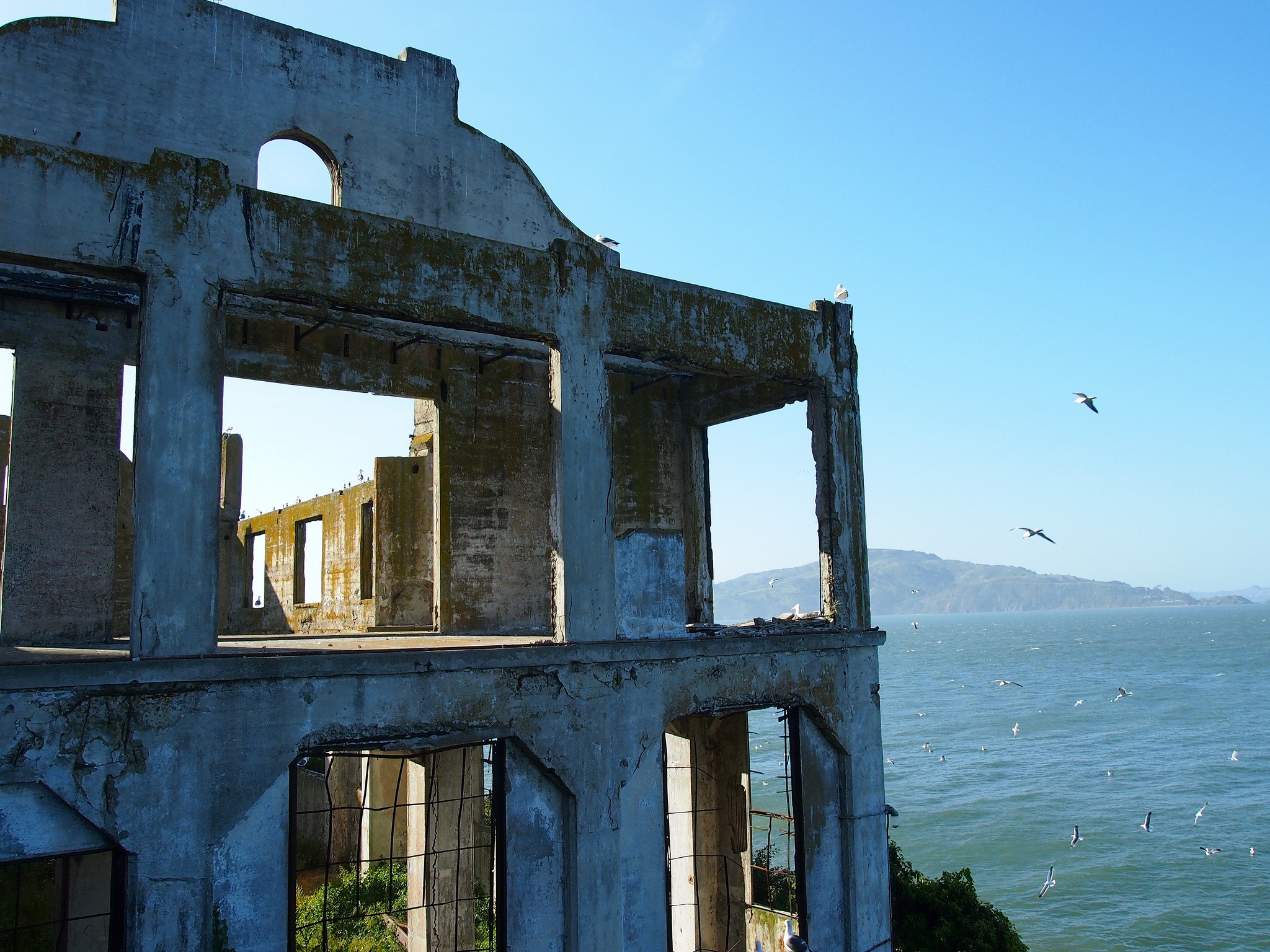 Alcatraz