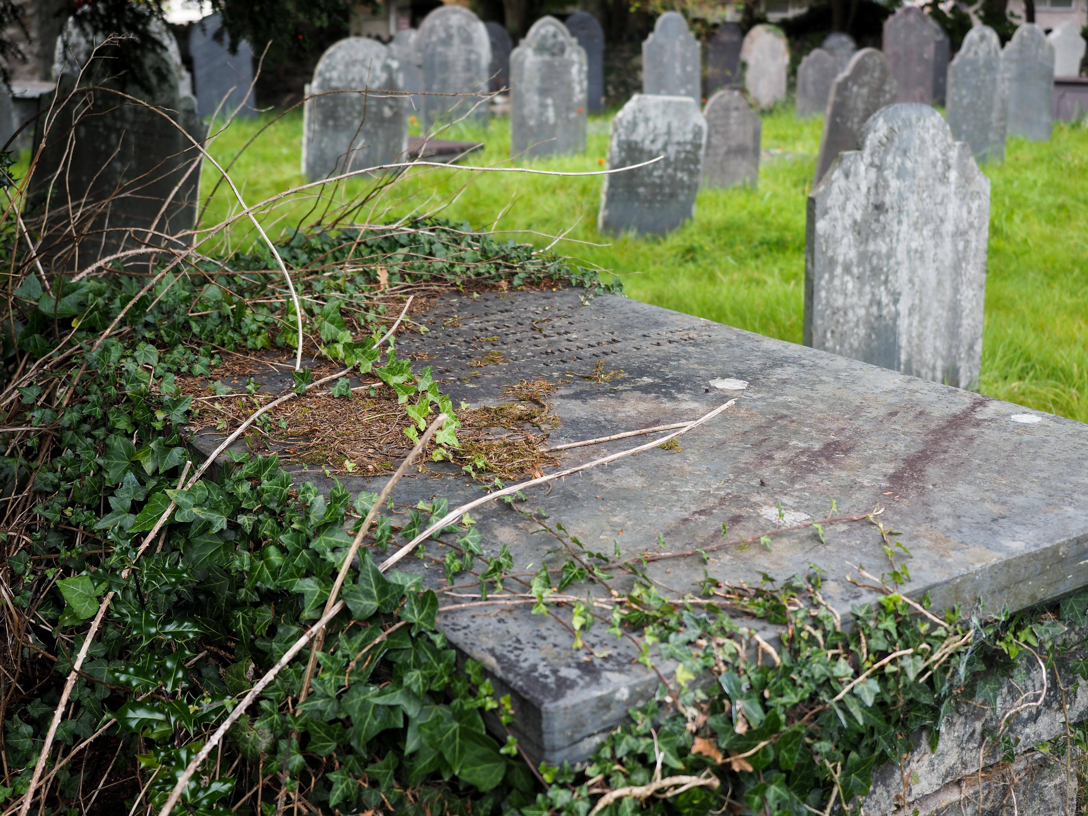 Feature image Cemetery in Wales