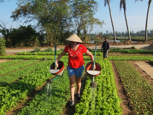 Feature image Farming in Vietnam