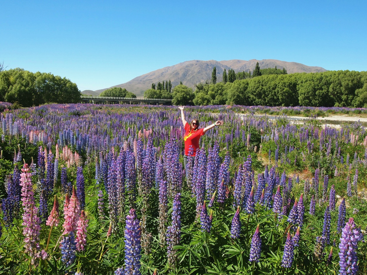 Feature image What to pack for New Zealand