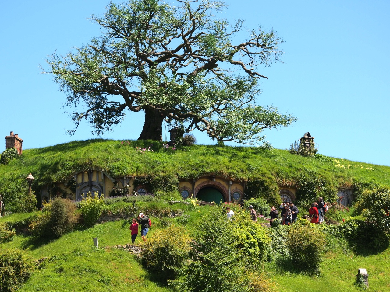 Feature image Hobbiton