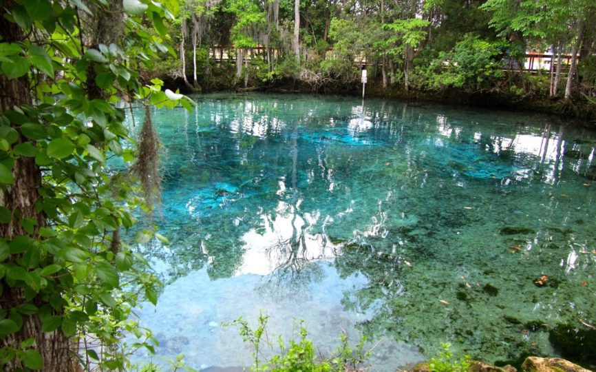 5 Awesome Things to do in Crystal River, Florida (Manatees and More!)