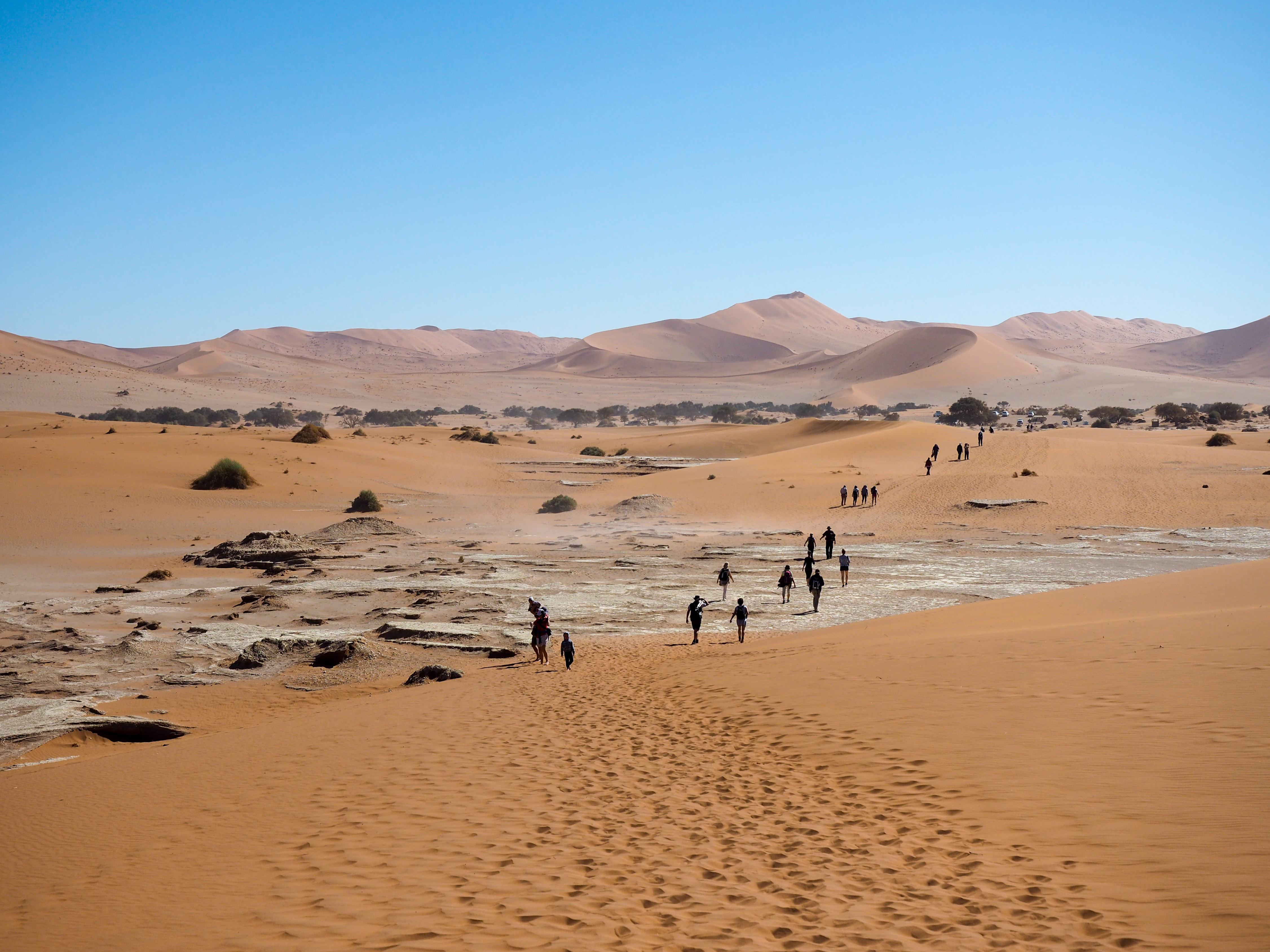 Feature image Namib Desert in Africa