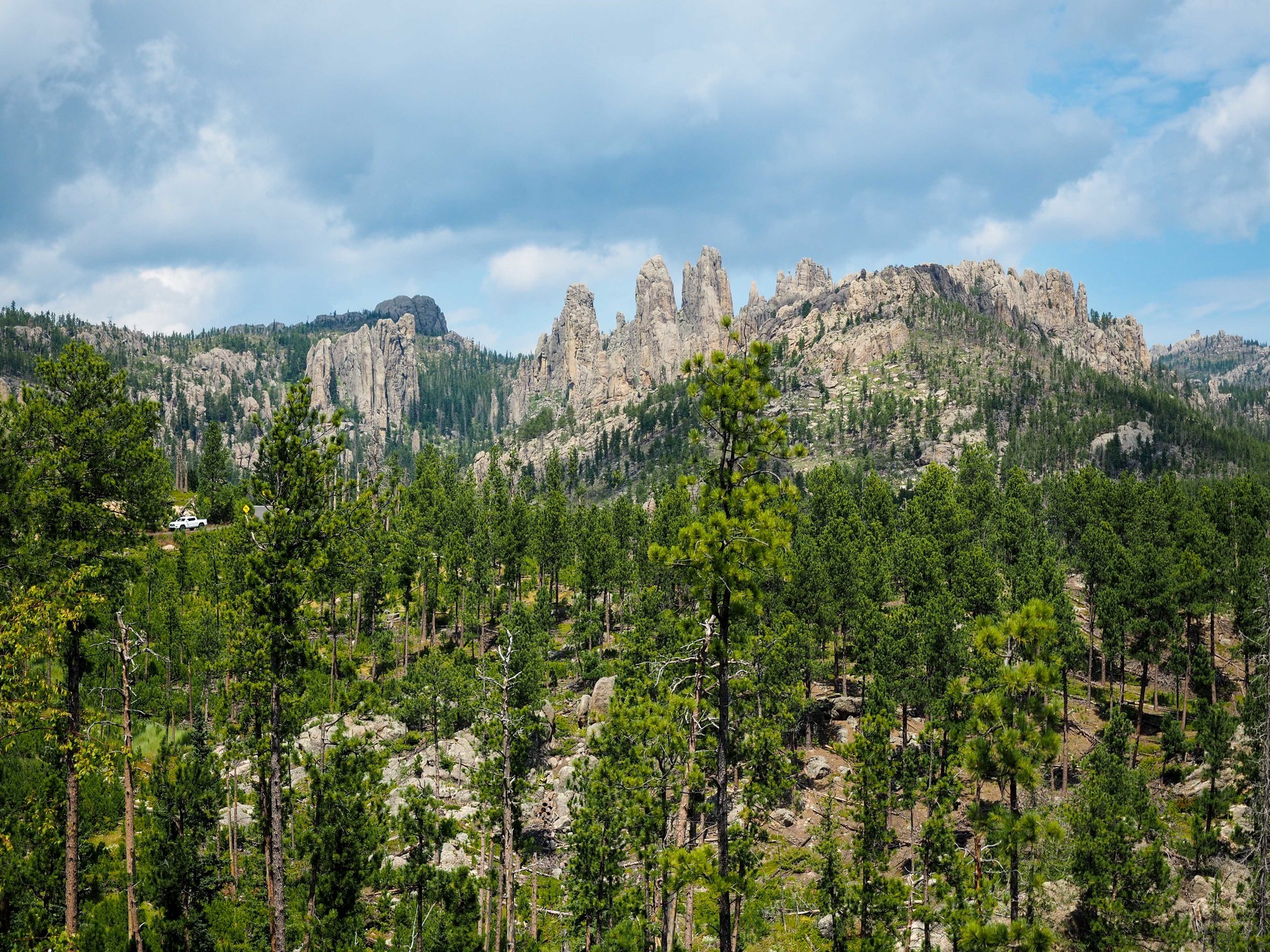 Feature image Custer State Park in South Dakota
