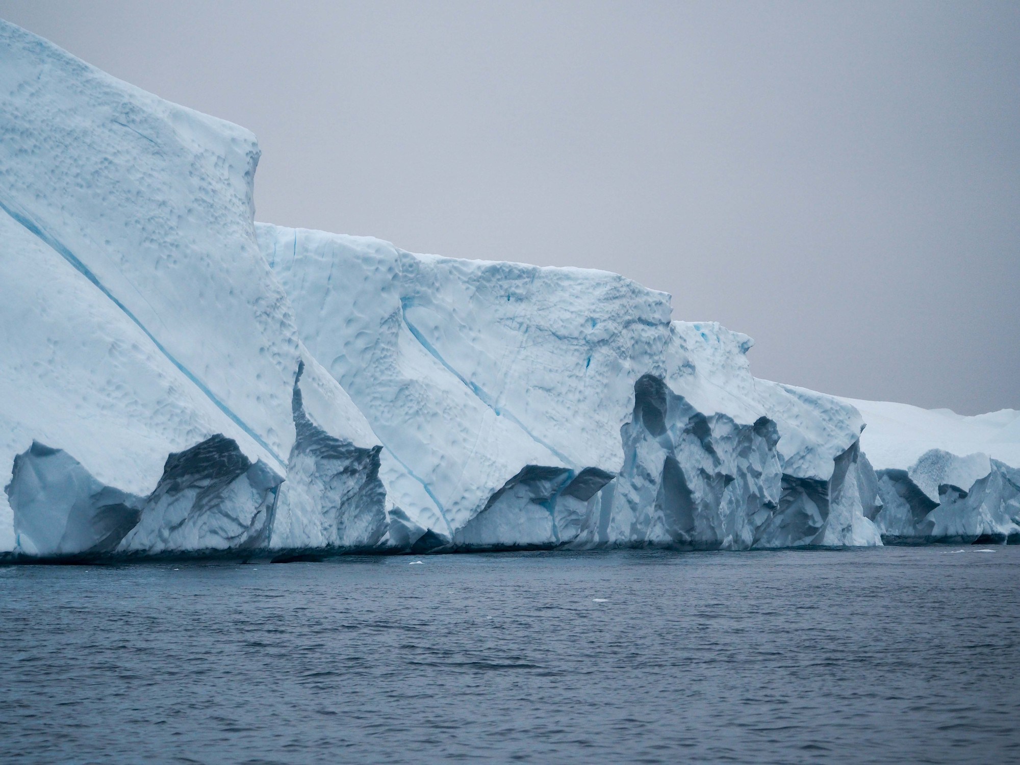 Feature image Icebergs in Greenland