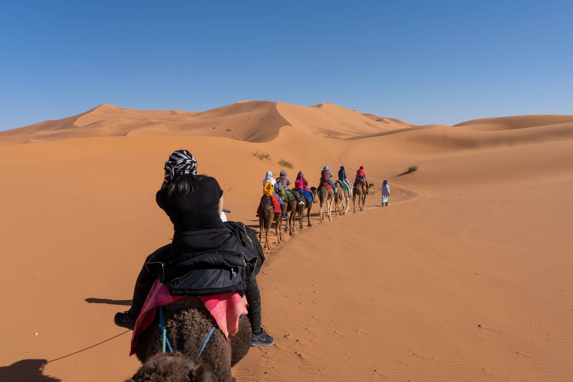 Riding camels into the Sahara Desert in Morocco