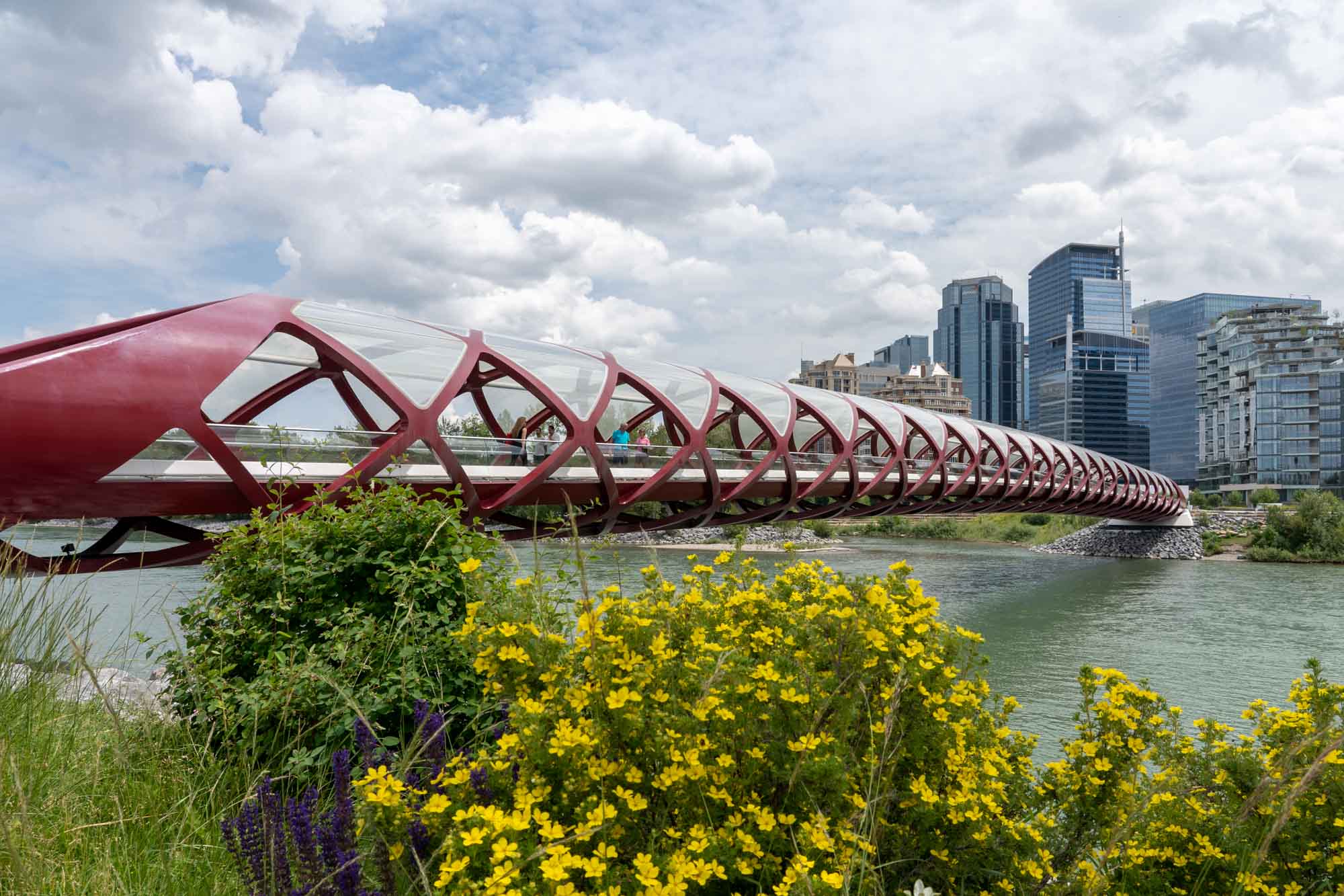 Feature image Peace Bridge in Calgary