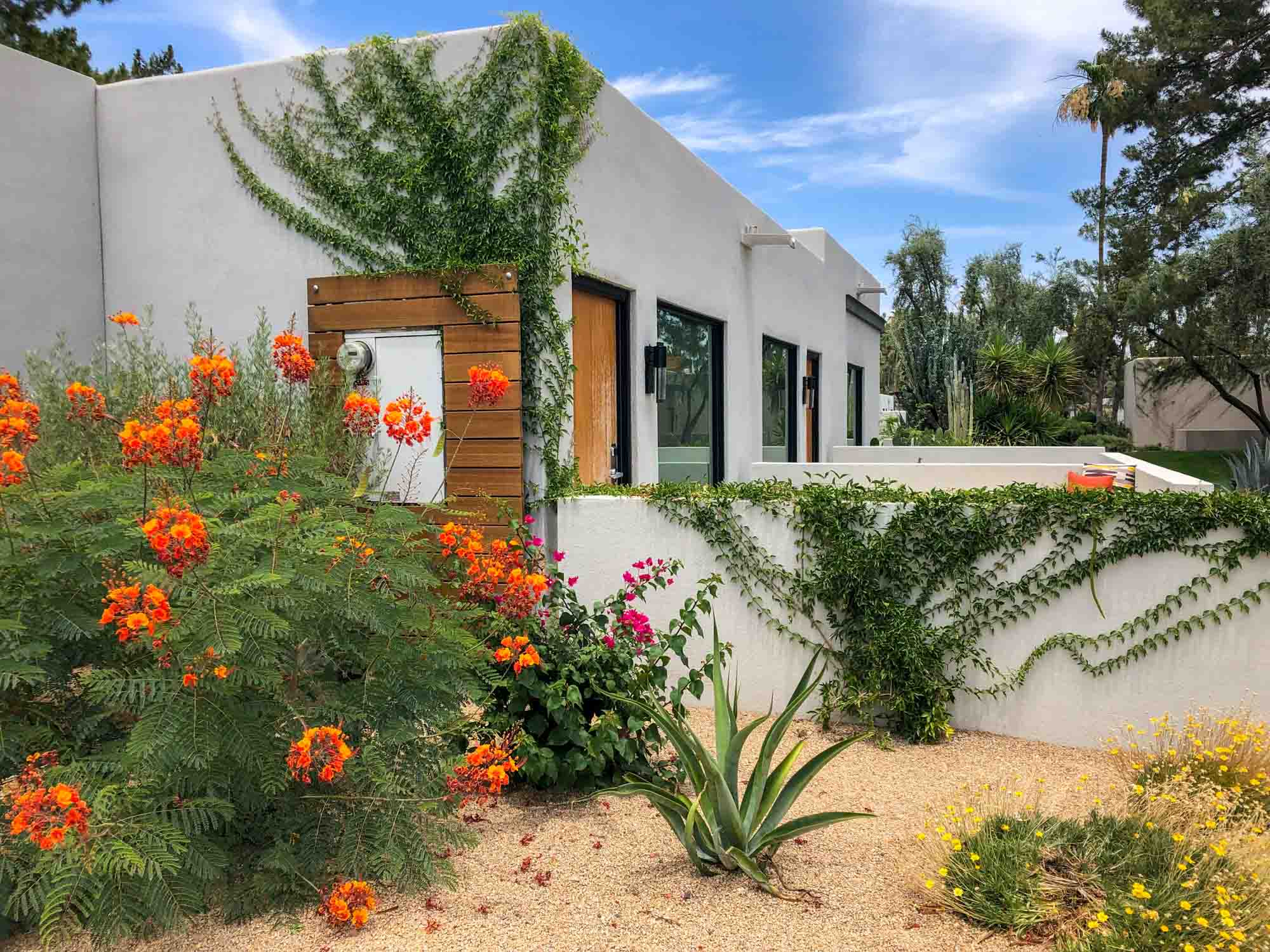 Feature image Andaz Scottsdale Resort & Bungalows