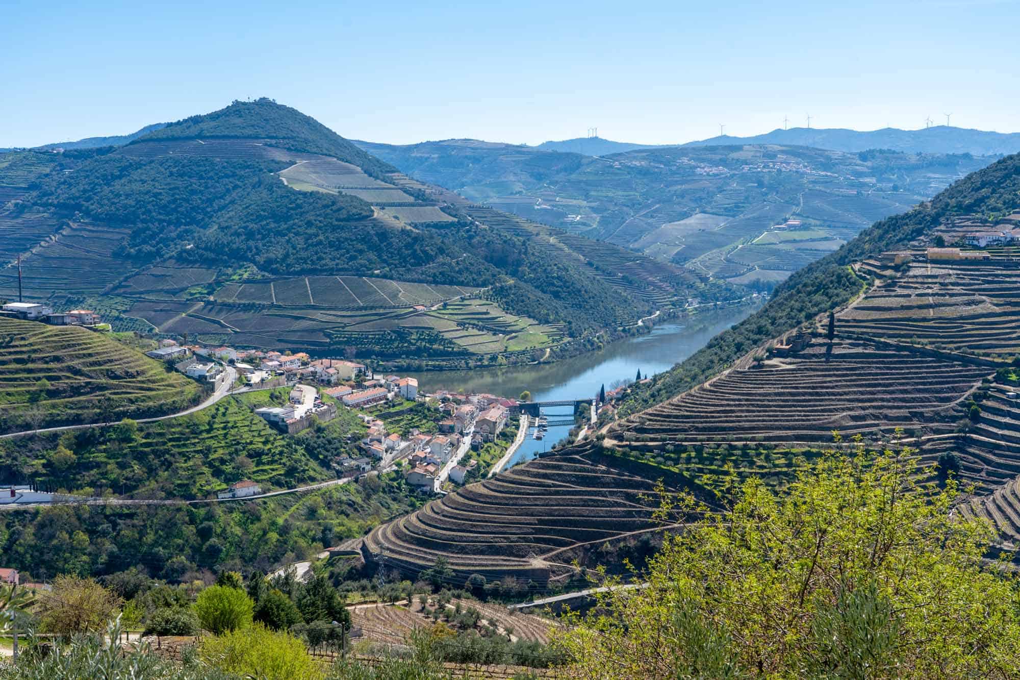 Feature image Douro Valley