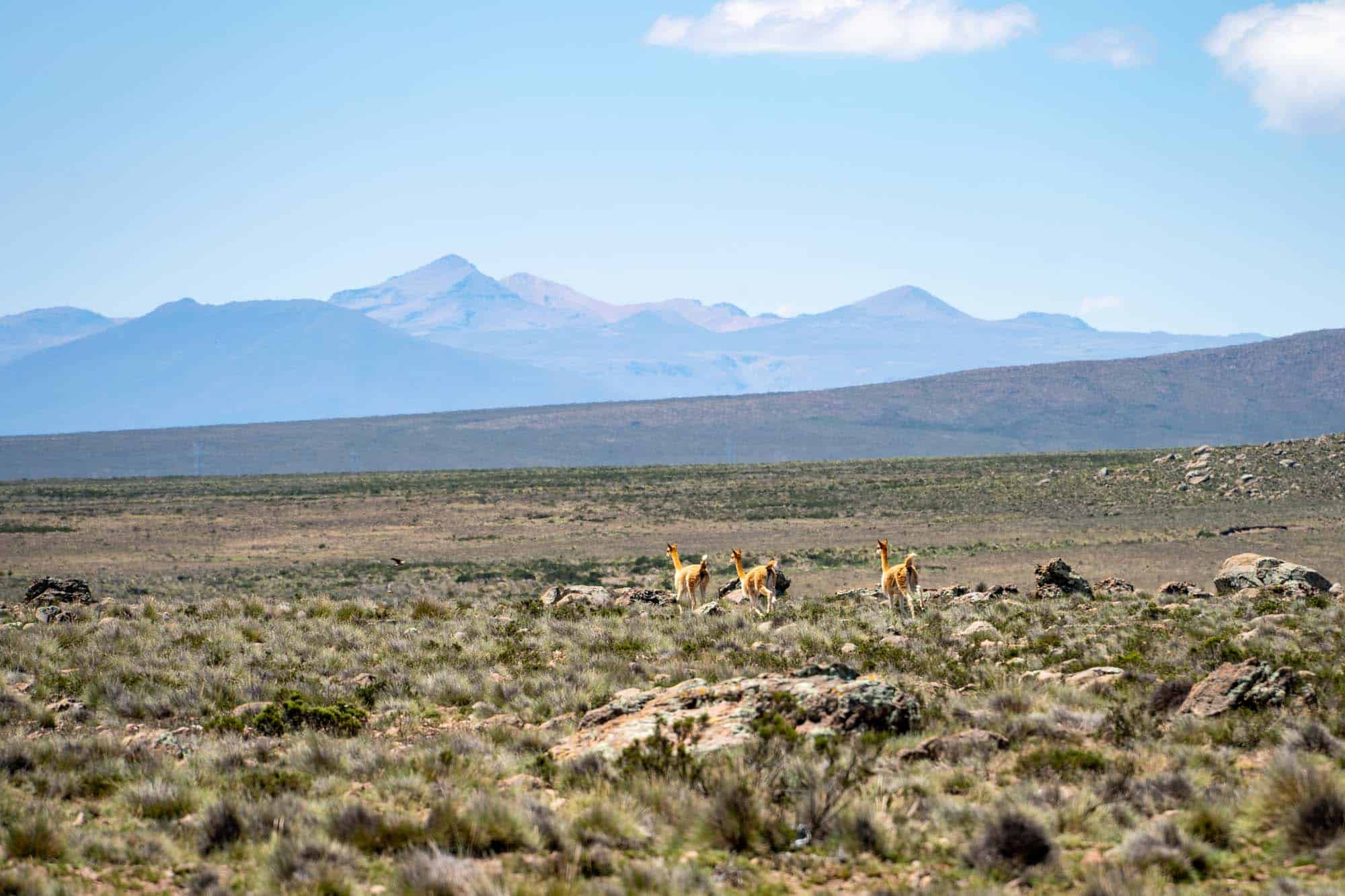 Peru high altitude tips | Tips to prevent altitude sickness in Peru