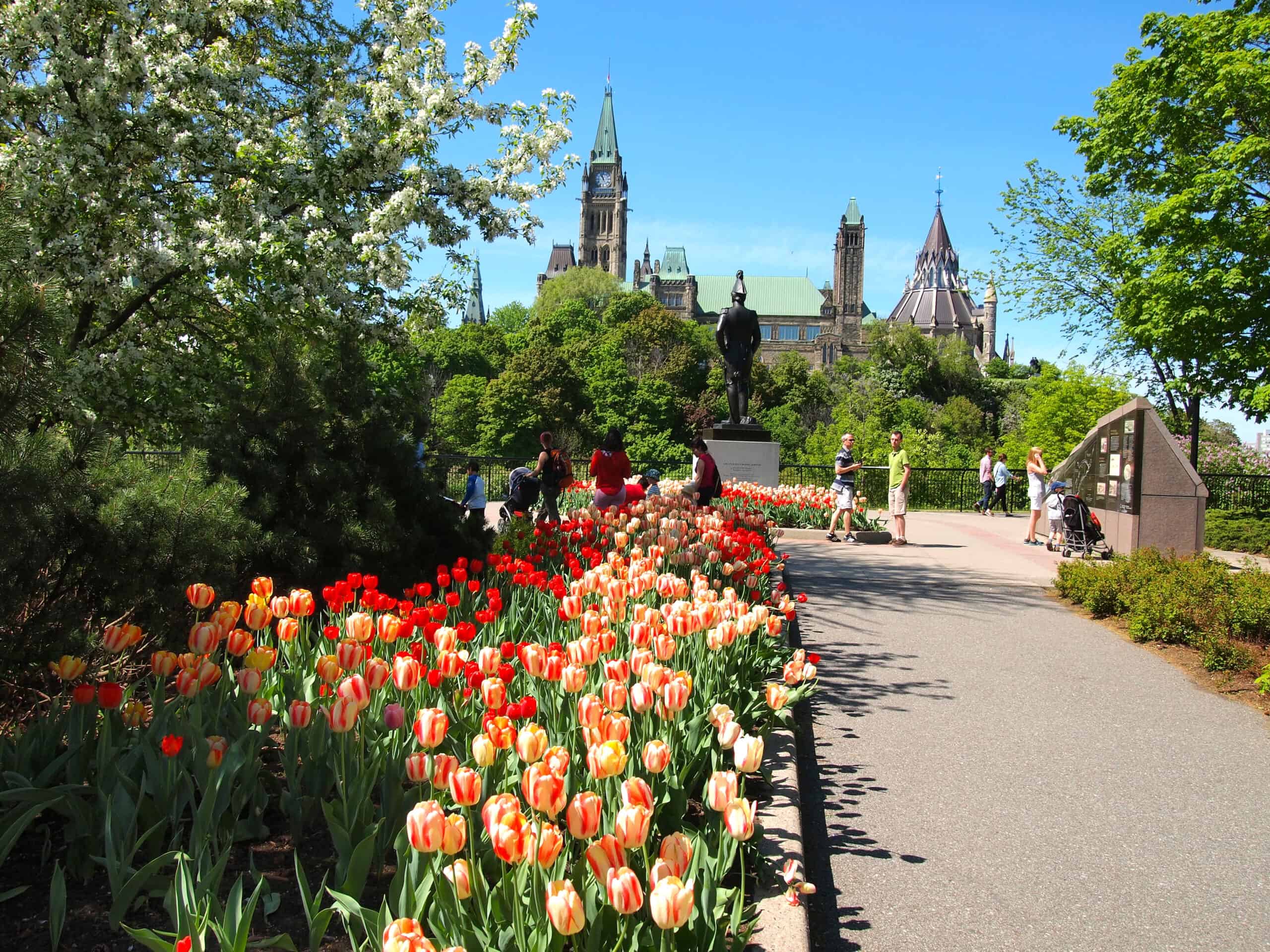 Tulips in Ottawa | Reasons to visit Ottawa, Canada