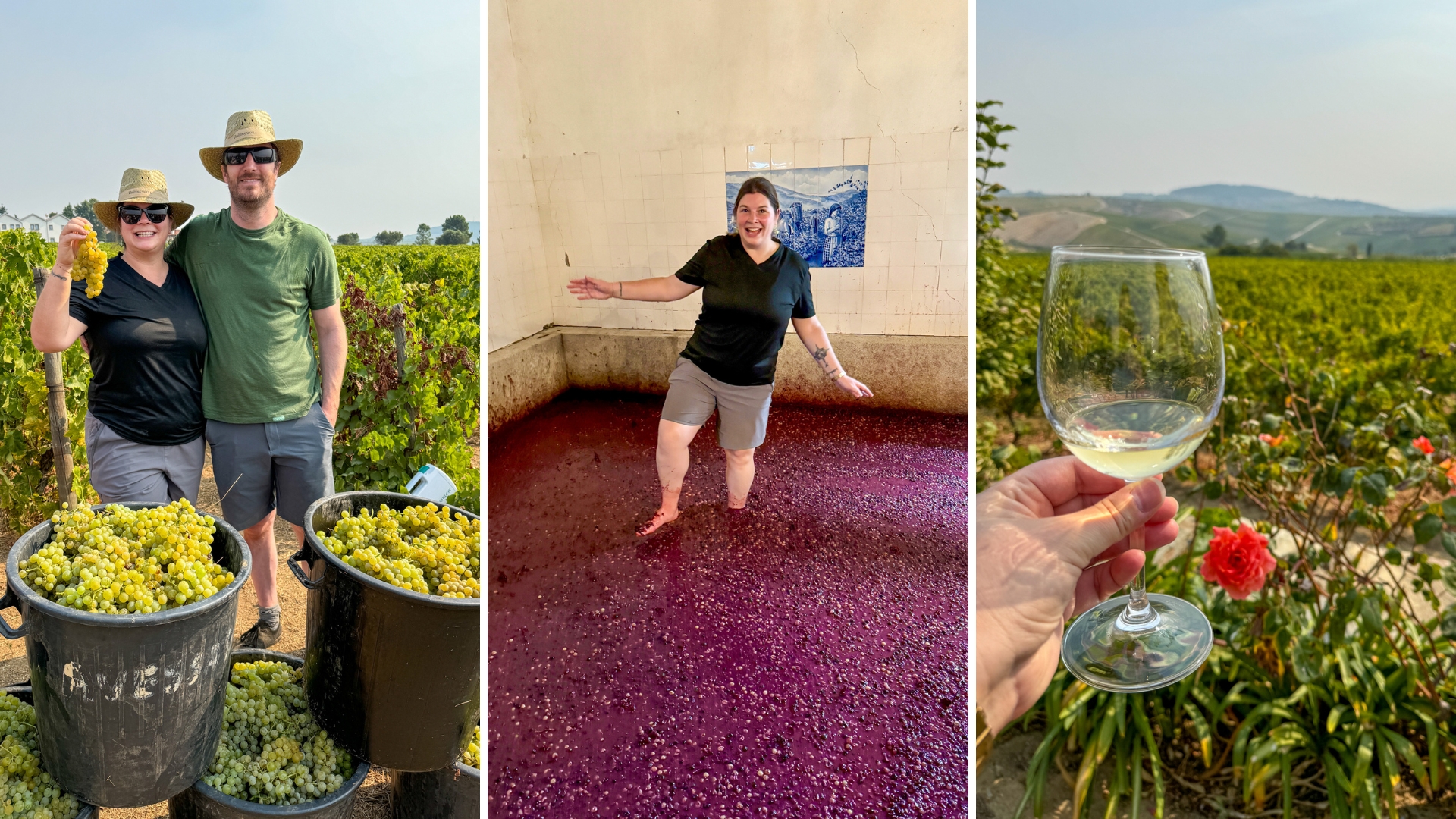 Feature image Wine harvest tour Douro Valley | Stomping grapes in Douro Valley